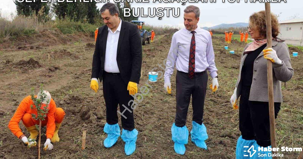 "Dalaman Açık Cezaevi'nde Üretim Seferberliği: Sakız Ağaçları Toprakla Buluştu" başlıklı haber için