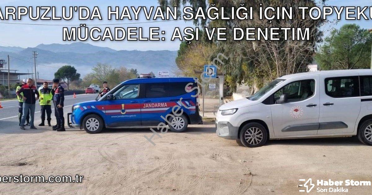 "Karpuzlu'da Hayvan Sağlığı İçin Topyekûn Mücadele: Aşı ve Denetim" başlıklı haber için fotorealisti