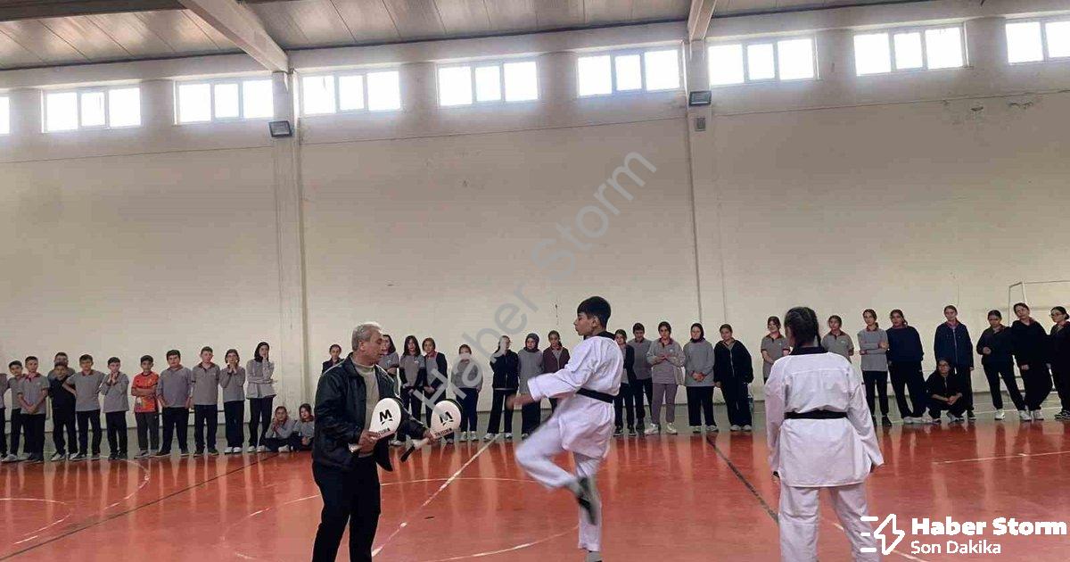 "Pazarlar İlçesi Spor Üssüne Dönüşüyor: Dev Tekvando Seferberliği" başlıklı haber için fotorealistik