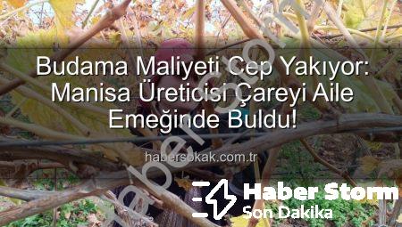 Budama Maliyetleri Aileleri Bağlara İndirdi: Üreticiler Çözümü Kendi Emeğinde Buldu