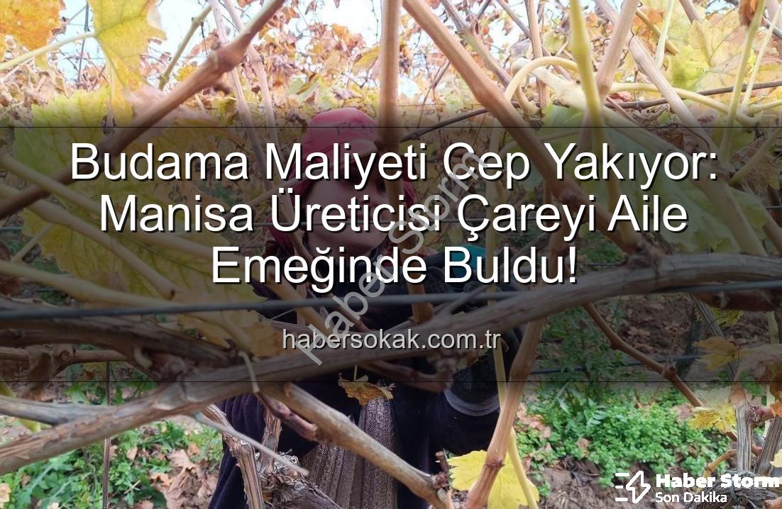 üzüm budama maliyeti - Budama Maliyetleri Aileleri Bağlara İndirdi: Üreticiler Çözümü Kendi Emeğinde Buldu