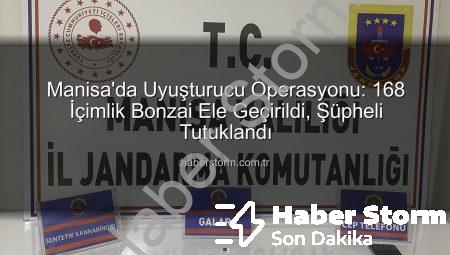 Manisa’da Uyuşturucu Operasyonu: 168 İçimlik Bonzai Ele Geçirildi, Şüpheli Tutuklandı