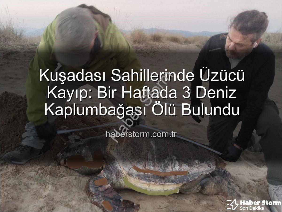 deniz kaplumbağası ölümleri - Kuşadası Sahillerinde Üzücü Kayıp: Bir Haftada 3 Deniz Kaplumbağası Ölü Bulundu