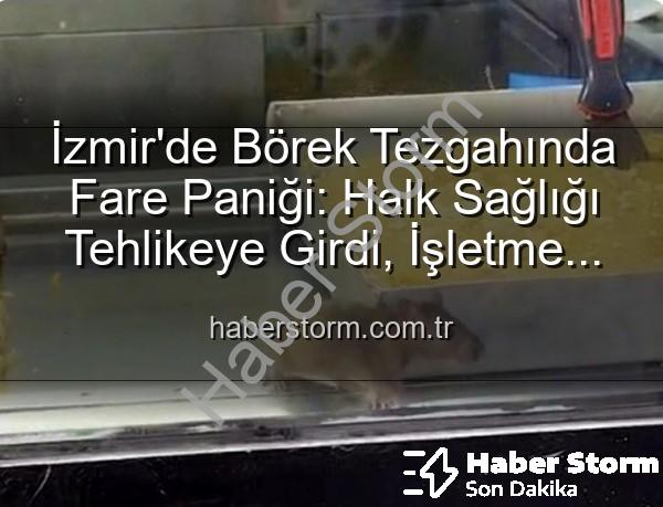 börek tezgahında fare - İzmir'de Börek Tezgahında Fare Paniği: Halk Sağlığı Tehlikeye Girdi, İşletme Mühürlendi!