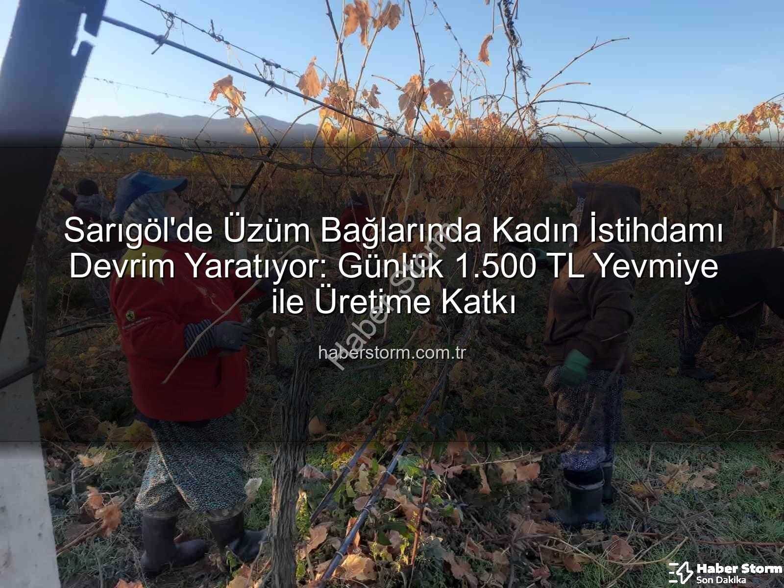 kadın istihdamı - Sarıgöl'de Üzüm Bağlarında Kadın İstihdamı Devrim Yaratıyor: Günlük 1.500 TL Yevmiye ile Üretime Katkı