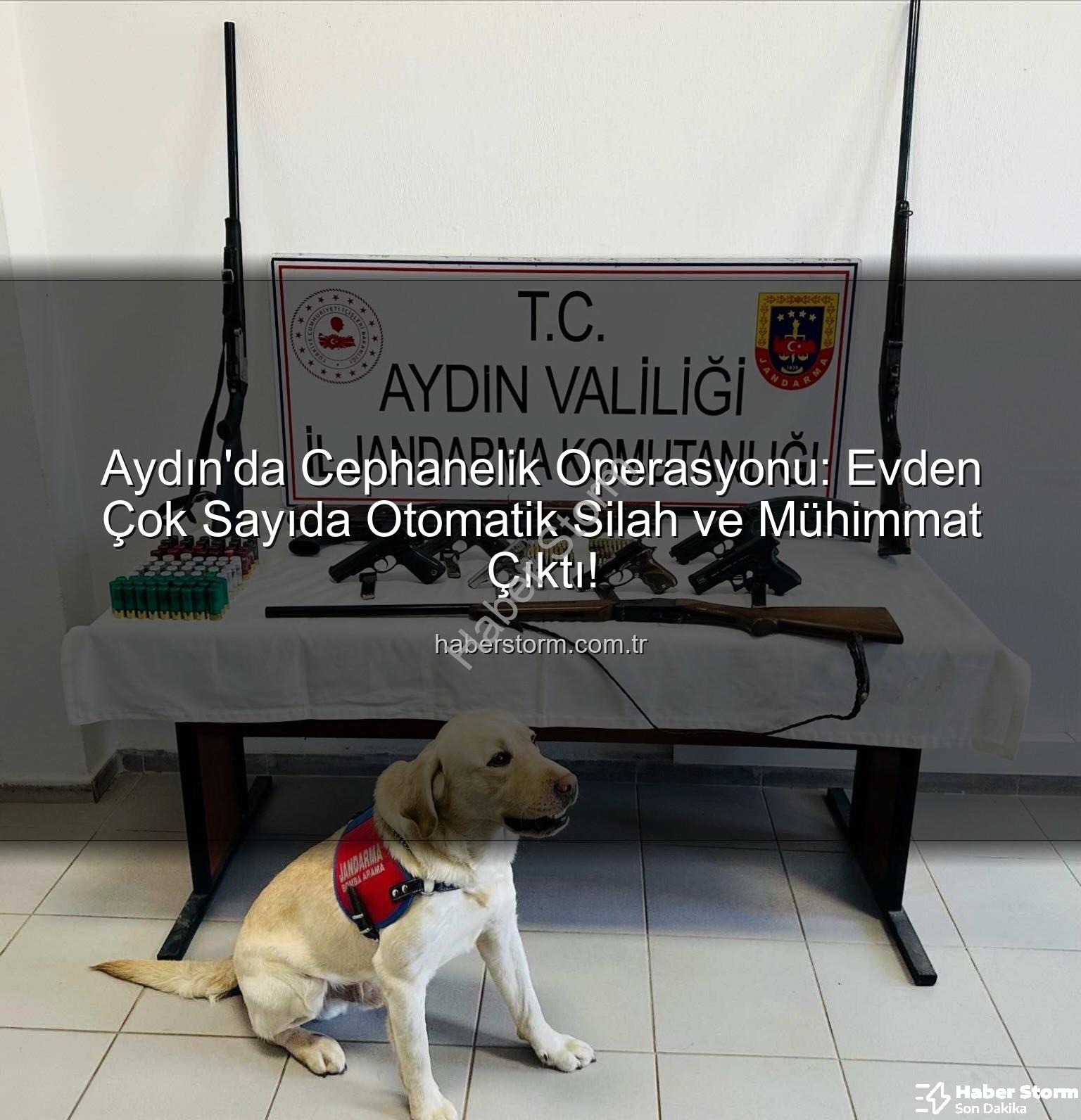 otomatik silah - Aydın'da Cephanelik Operasyonu: Evden Çok Sayıda Otomatik Silah ve Mühimmat Çıktı!