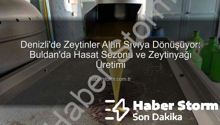 Denizli’de Zeytinler Altın Sıvıya Dönüşüyor: Buldan’da Hasat Sezonu ve Zeytinyağı Üretimi