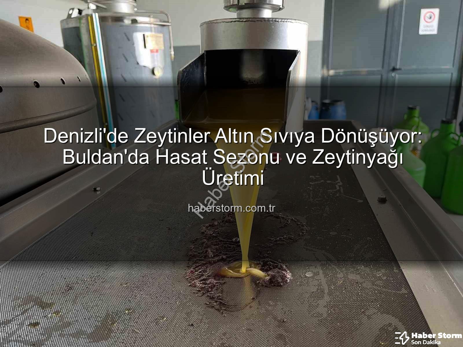 zeytinyağı üretimi - Denizli'de Zeytinler Altın Sıvıya Dönüşüyor: Buldan'da Hasat Sezonu ve Zeytinyağı Üretimi