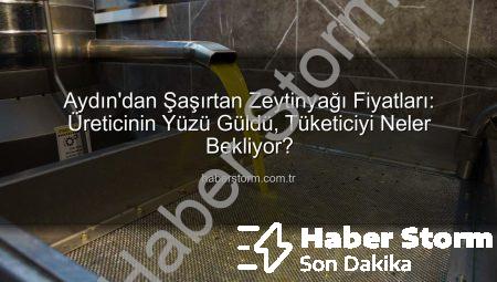 Aydın’dan Şaşırtan Zeytinyağı Fiyatları: Üreticinin Yüzü Güldü, Tüketiciyi Neler Bekliyor?