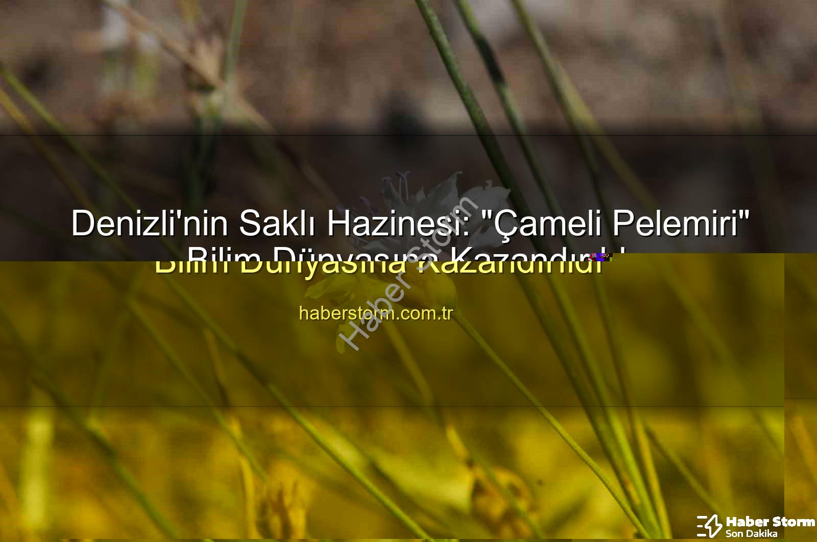 Çameli pelemiri - Denizli'den Yeni Bir Keşif: 'Çameli Pelemiri' Bilim Dünyasına Kazandırıldı