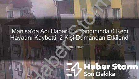 Manisa’da Acı Haber: Ev Yangınında 6 Kedi Hayatını Kaybetti, 2 Kişi Dumandan Etkilendi