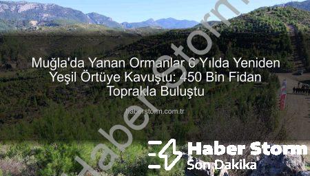 Muğla’da Yanan Ormanlar 6 Yılda Yeniden Yeşil Örtüye Kavuştu: 450 Bin Fidan Toprakla Buluştu